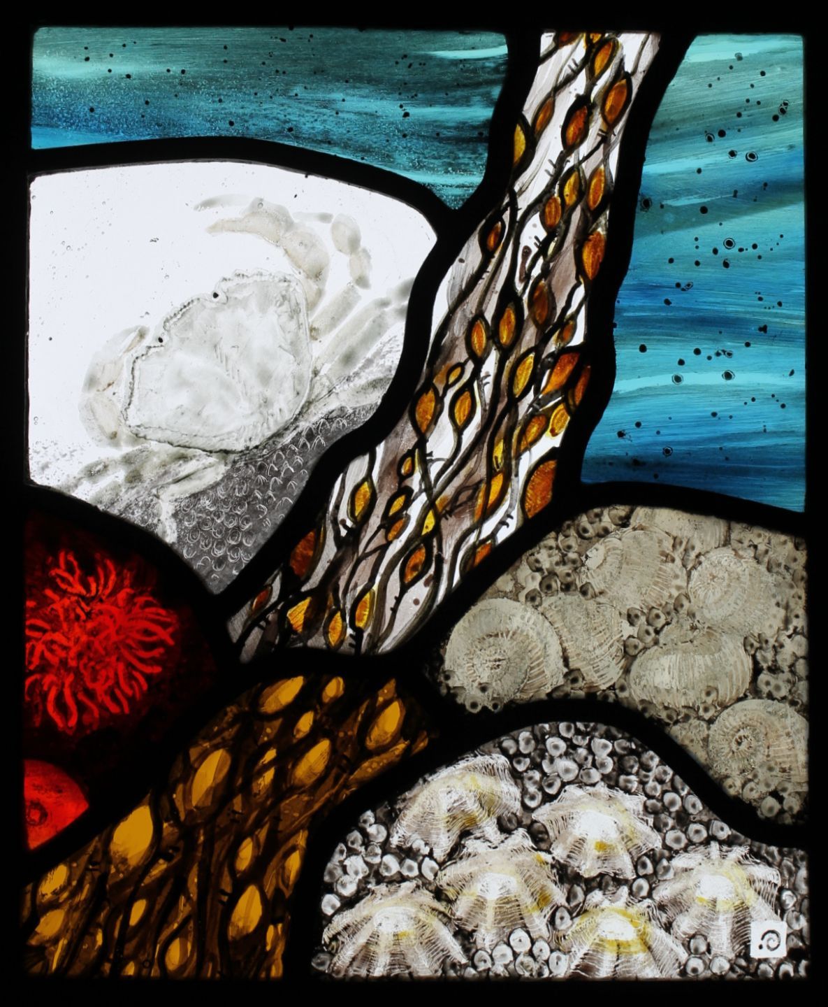 rockpool at sanna by ise stumpff, a stained glass panel feature seaweed, limpets and sea anemone