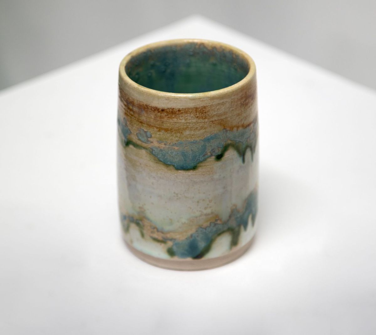 lichen vase IV by pam mathews