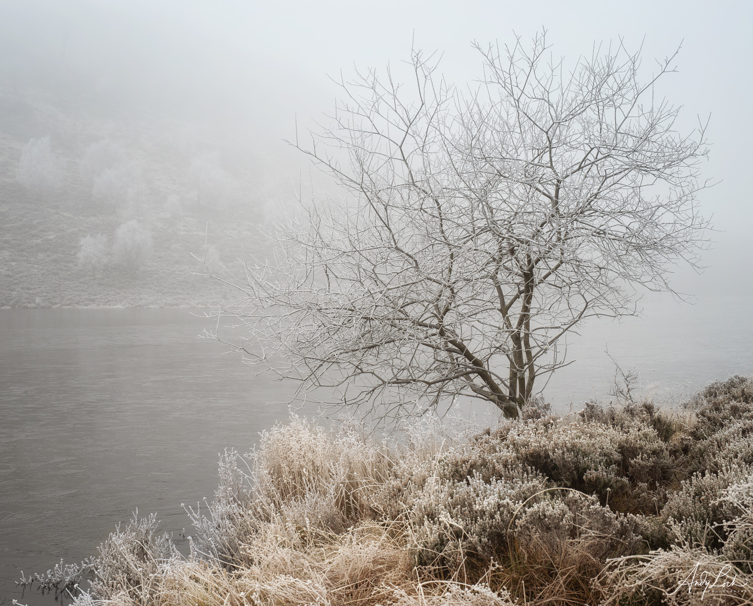Mist Rolling In by Andy Lock
