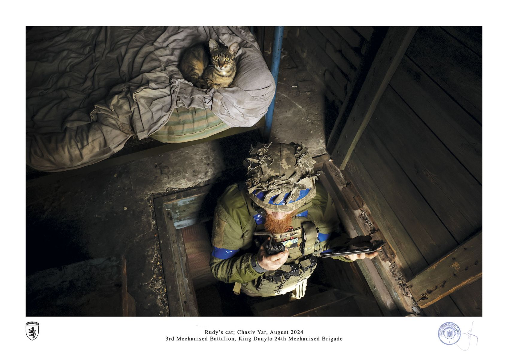 Rudy’s cat; Chasiv Yar, August 2024 by ivan petrychak