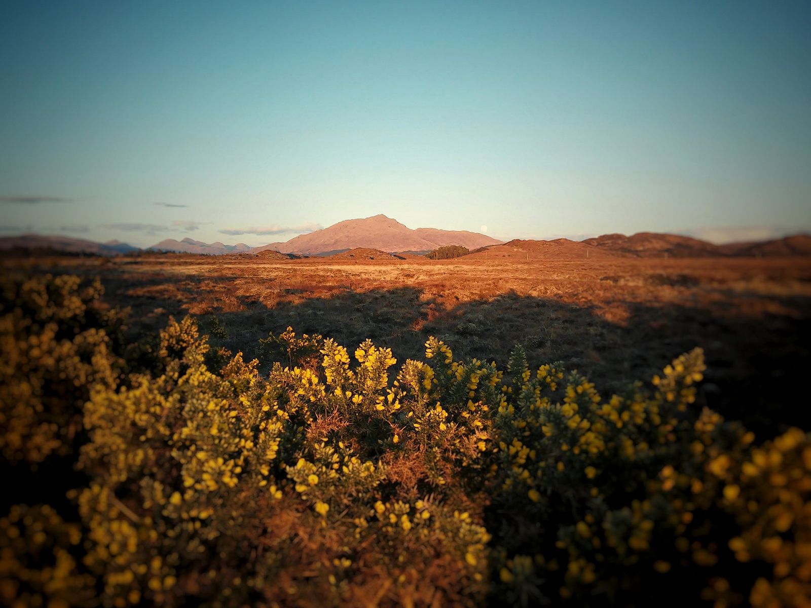 time travelling by mirjam klever