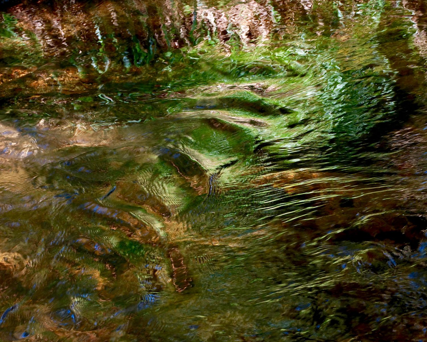 summer reflections by nigel mcmillan