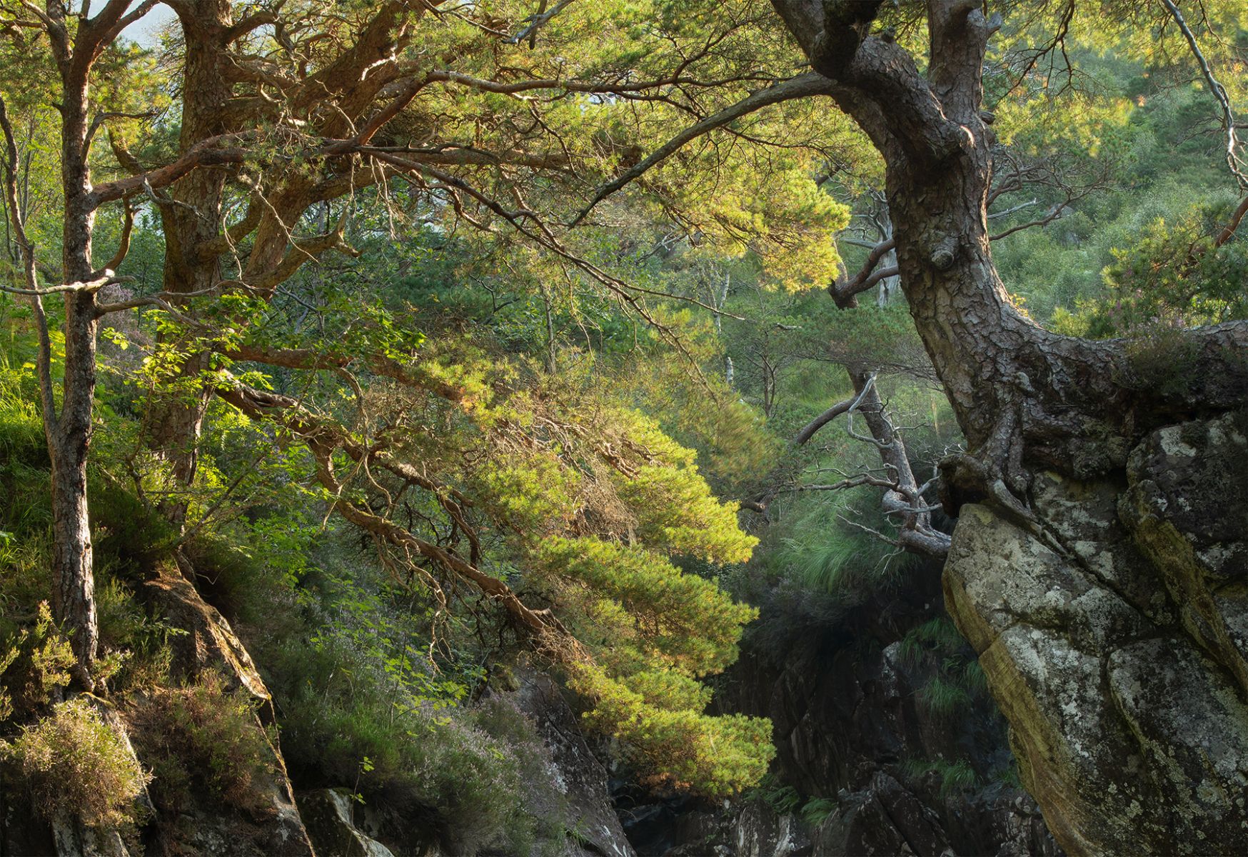Glen Nevis - Ancient Light by Andy Lock Photography