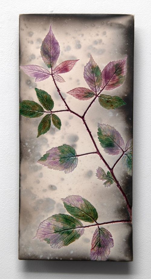 bramble pinks II by helen michie