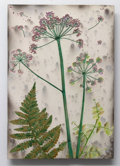 cow parsley by helen michie