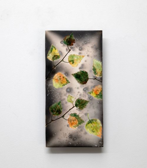 falling autumn leaves II by helen michie
