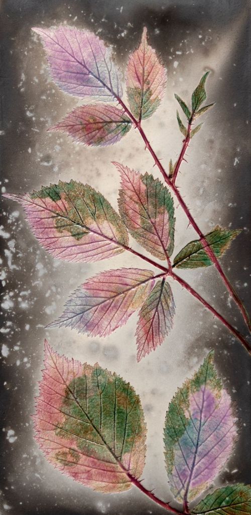 pink autumn bramble by helen michie