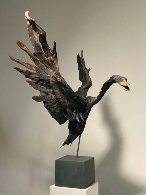 black swan by lucy gray