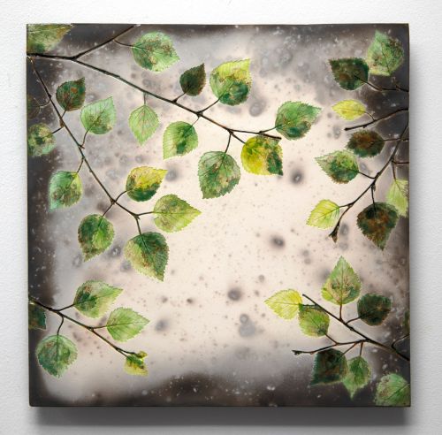 summer birch leaves I by helen michie