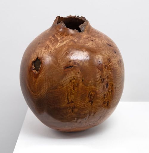 burr elm vessel ii by angus clyne