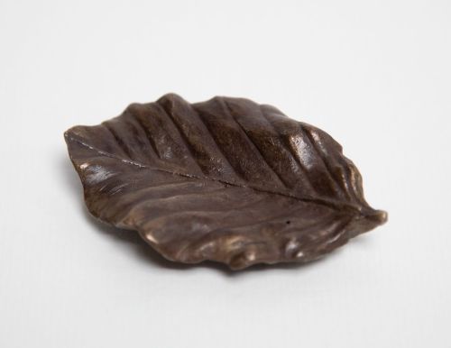 large beech leaf by siobhan morison