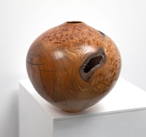 burr elm vessel i by angus clyne