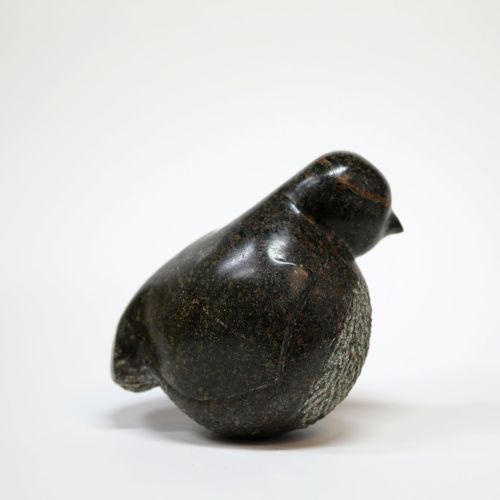 bird I by siobhan morison