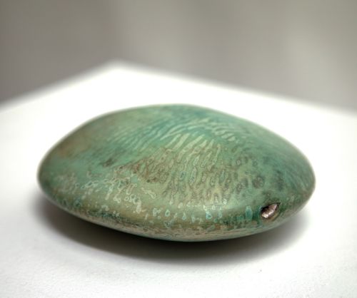 sea urchin by judith davies