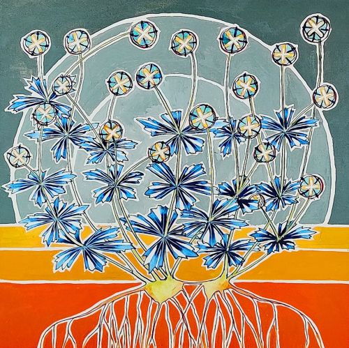 potentilla erecta, ardnamurchan (tormentil) by kirsty lorenz