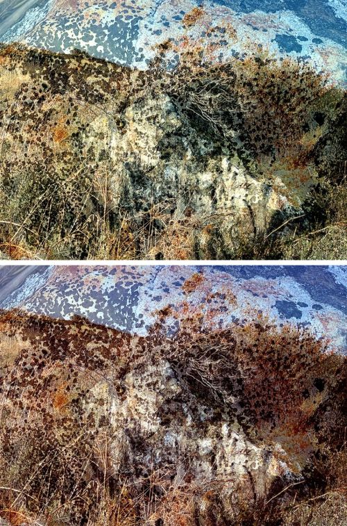 rounding the hill by rhea banker