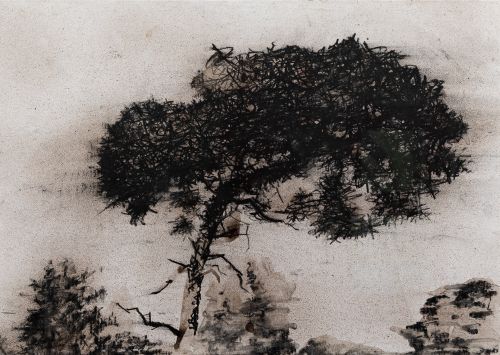 sentinel pine, bridlebank by kevin dagg