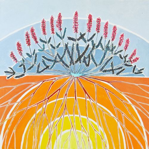 calluna vulgaris, ardnamurchan (heather) by kirsty lorenz