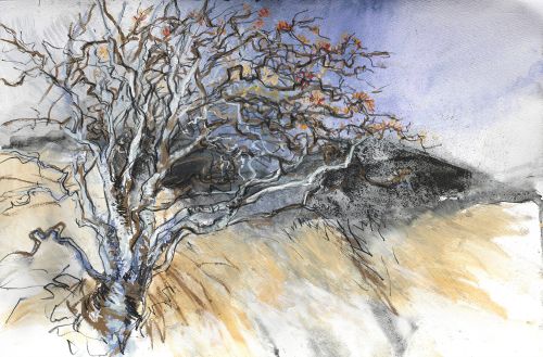 sentinel rowan by liz myhill