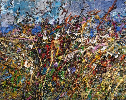 wild flowers fallow field by jonathan shearer