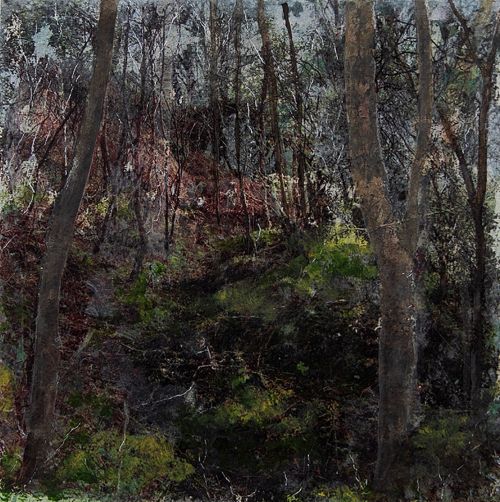 arboreal by jane rushton