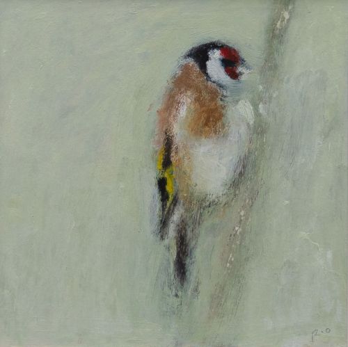goldfinch feeding by ruth o'dell
