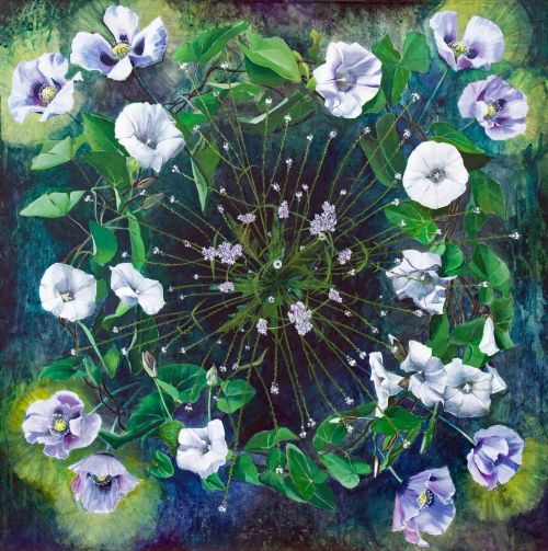 aura suavis, a mind opening recipe by kirsty lorenz