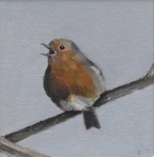 singing robin by ruth o'dell