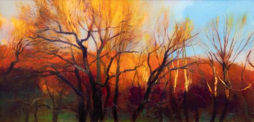 winter evening trees by andrew sinclair