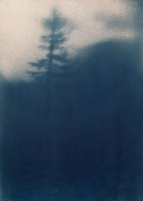 reduction memory I by lee o'connor