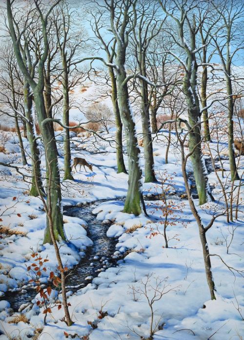 winter woodland - with roe by colin woolf