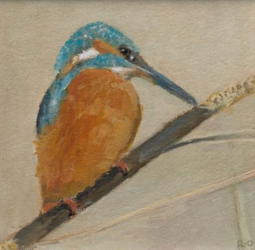 kingfisher iii by ruth o'dell