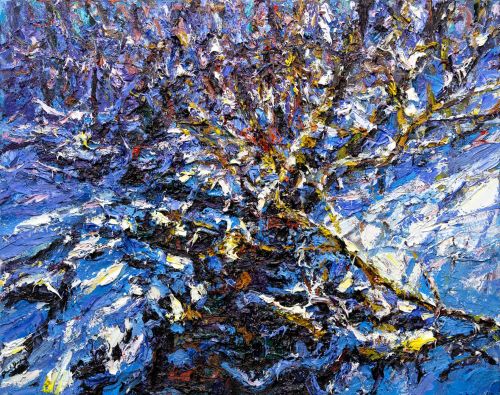 deep snow winter sun by jonathan shearer