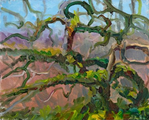 ancient oak, achilty by jonathan shearer