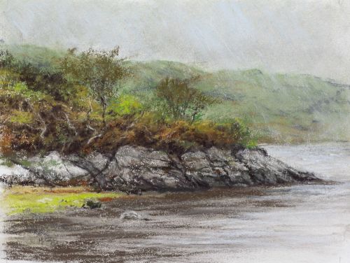 as the rain came by mark ivan cole