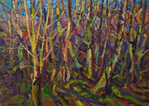 winter light, contullich woods by jonathan shearer