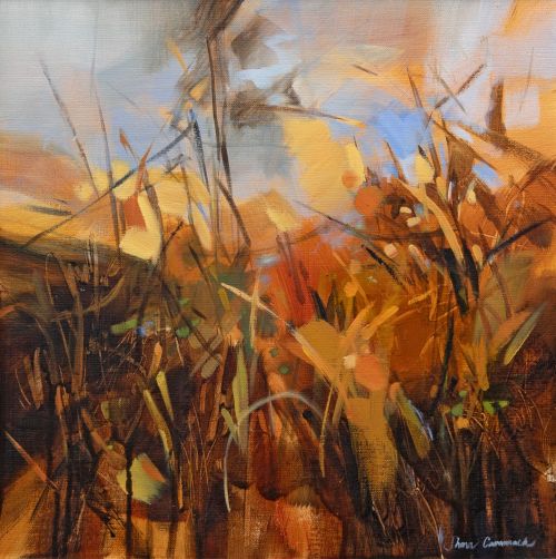 the ancient oakwoods by shona cammack