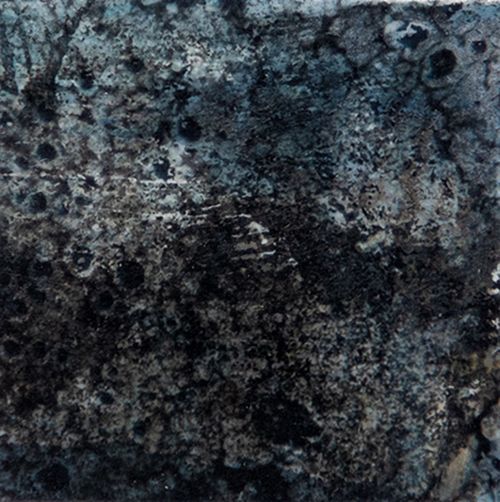 tephromela II by jane rushton