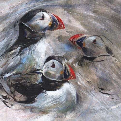 puffin study by lucy newton