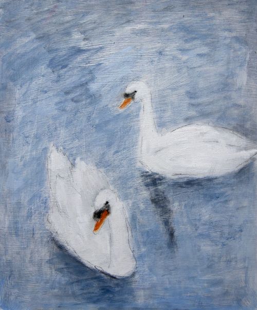 swans by joyce gunn cairns mbe