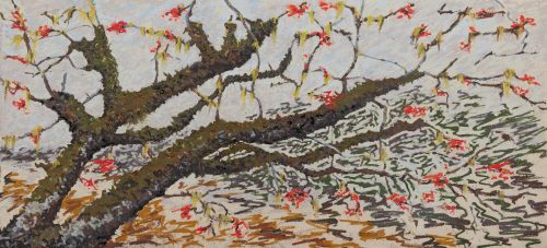 epiphytes on rowan, alladale by kevin dagg