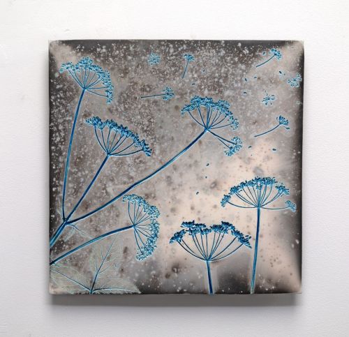 blue cow parsley i by helen michie