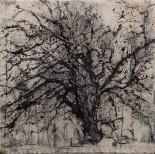birch at dusk, migdale by kevin dagg