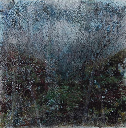 down the ravine by jane rushton