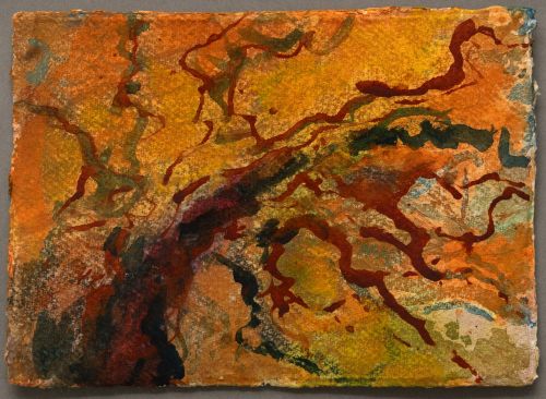 Under the watchful eye of a Robin