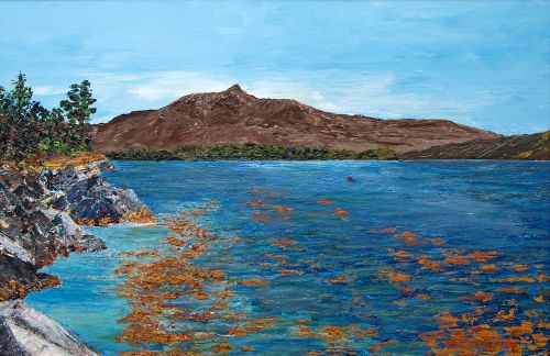 beinn resipol from port an win by calum macfarlane barrow