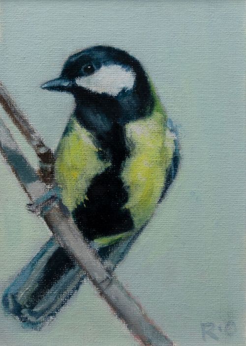 great tit by ruth o'dell