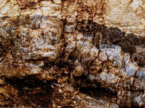 facing west by rhea banker