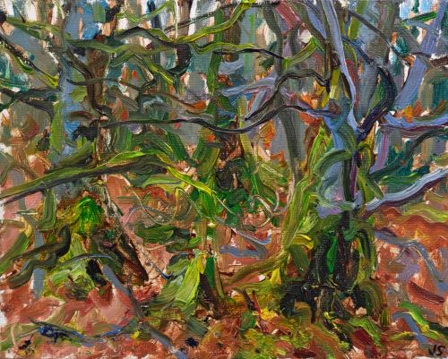 beech woods, april by jonathan shearer