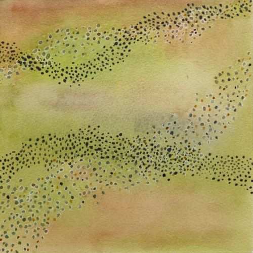 littoral drift by jane rushton